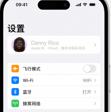 阳谷appleID维修服务iPhone设置中Apple ID显示为灰色无法使用 