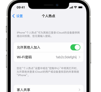 阳谷apple服务站点分享iPhone上个人热点丢失了怎么办 