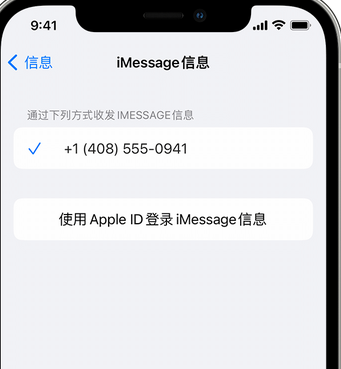 阳谷apple维修iPhone上无法正常发送iMessage信息 