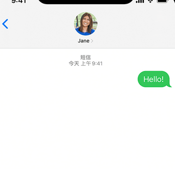 阳谷apple维修iPhone上无法正常发送iMessage信息