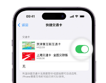 阳谷apple维修点分享iPhone上更换Apple Pay快捷交通卡手绘卡面 