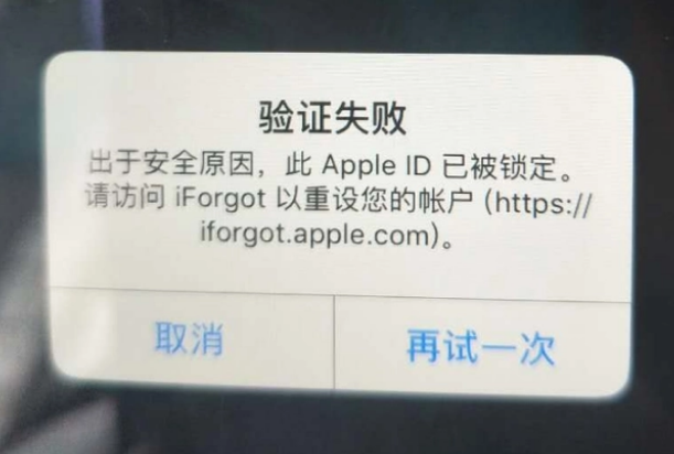 阳谷iPhone维修分享iPhone上正常登录或使用AppleID怎么办 