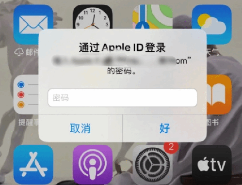 阳谷苹果设备维修分享无故多次要求输入AppleID密码怎么办 