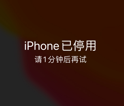 阳谷苹果手机维修分享:iPhone 显示“不可用”或“已停用”怎么办？还能保留数据吗？ 