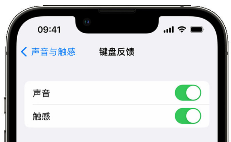 阳谷苹果手机维修分享iPhone 14触感键盘使用方法 