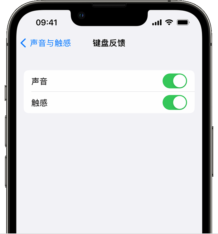 阳谷苹果14维修店分享如何在 iPhone 14 机型中使用触感键盘 