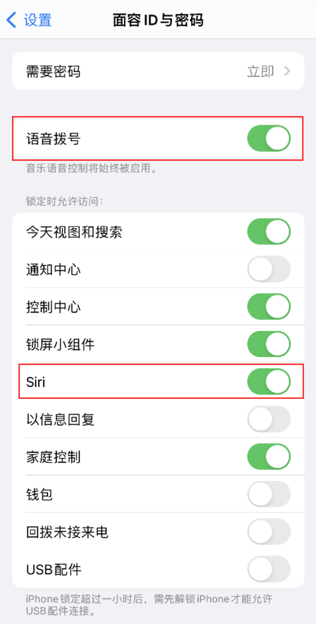 阳谷苹果维修网点分享不解锁 iPhone 的情况下通过 Siri 拨打电话的方法 