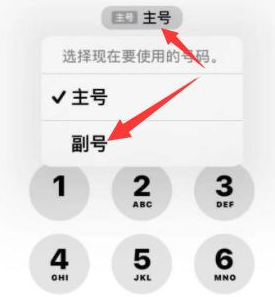 阳谷苹果14维修店分享iPhone 14 Pro Max使用副卡打电话的方法 