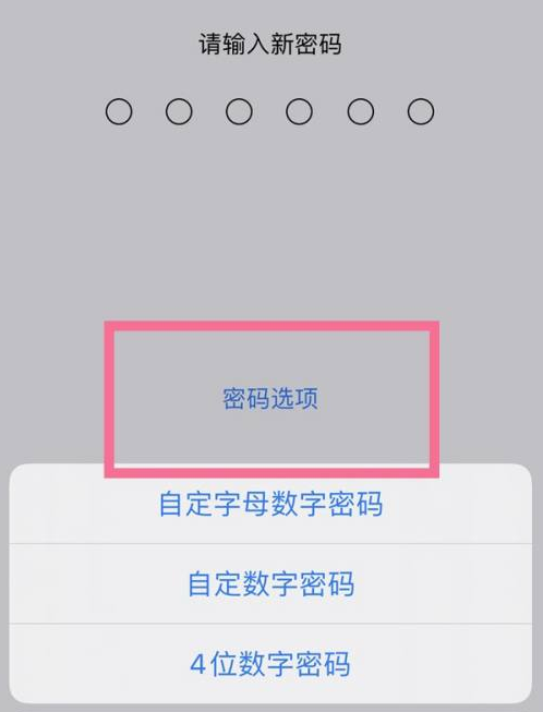 阳谷苹果14维修分享iPhone 14plus设置密码的方法 