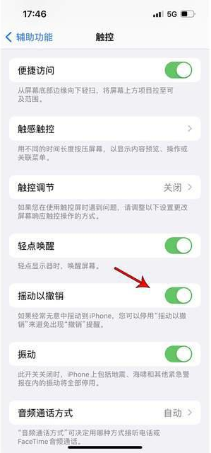 阳谷苹果手机维修分享iPhone手机如何设置摇一摇删除文字 