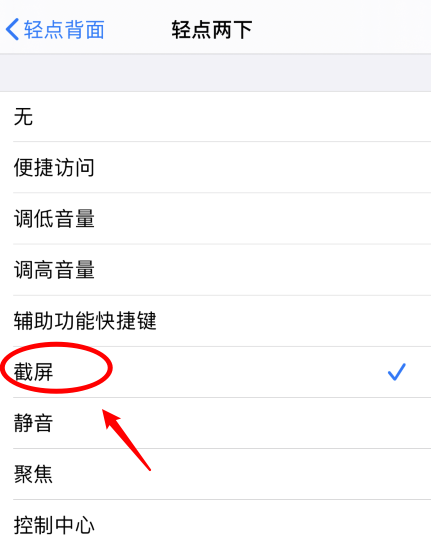 阳谷苹果手机维修分享iPhone12如何启用双击截屏 